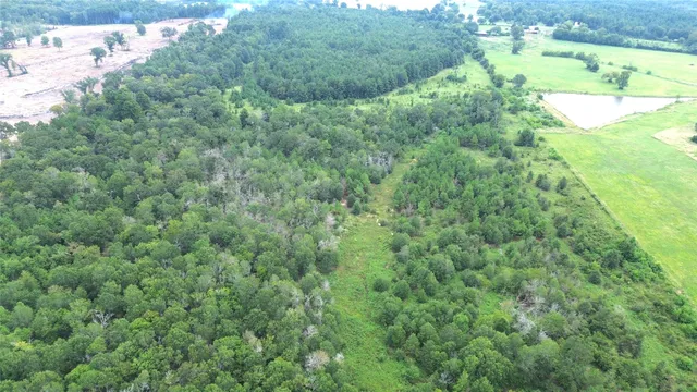 $699,000 | 0 State Highway, Crockett, TX 75835