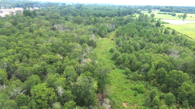 $699,000 | 0 State Highway, Crockett, TX 75835