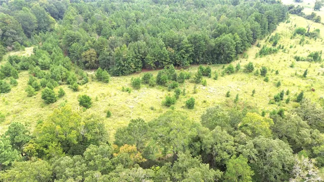 $699,000 | 0 State Highway, Crockett, TX 75835