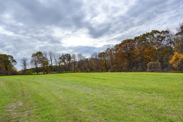 a view of grassy field with mountain in the background