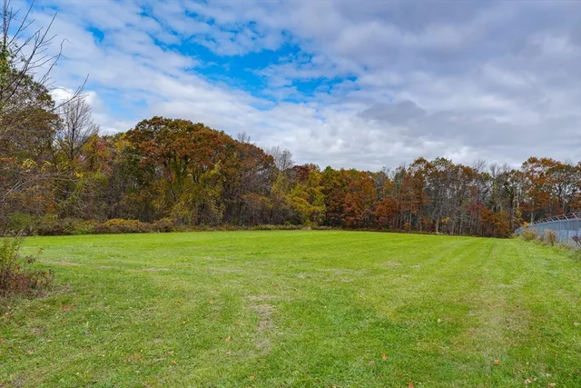 a view of a swimming pool with a yard and plants