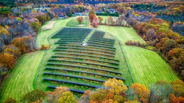 a view of a big yard with an fountain and large trees
