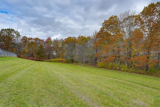 a view of yard with swimming pool and green space