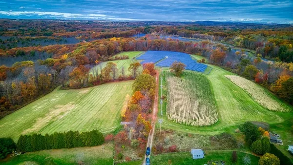 a view of a big yard with swimming pool and trees