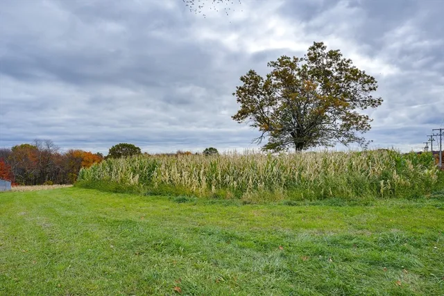 a view of a lake with a building in the background