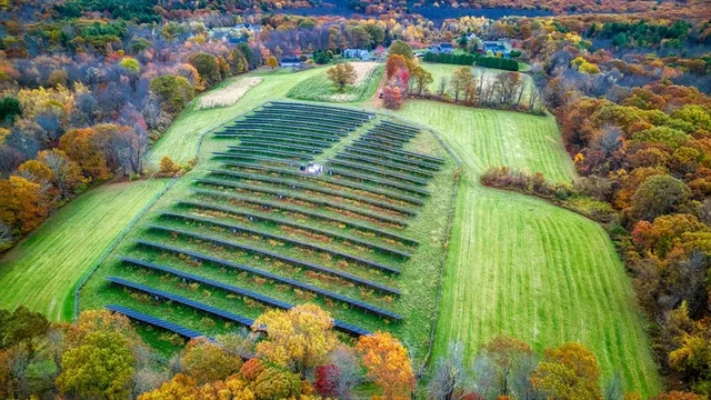 a view of a bench in the middle of a park