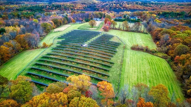a view of a field of grass and trees