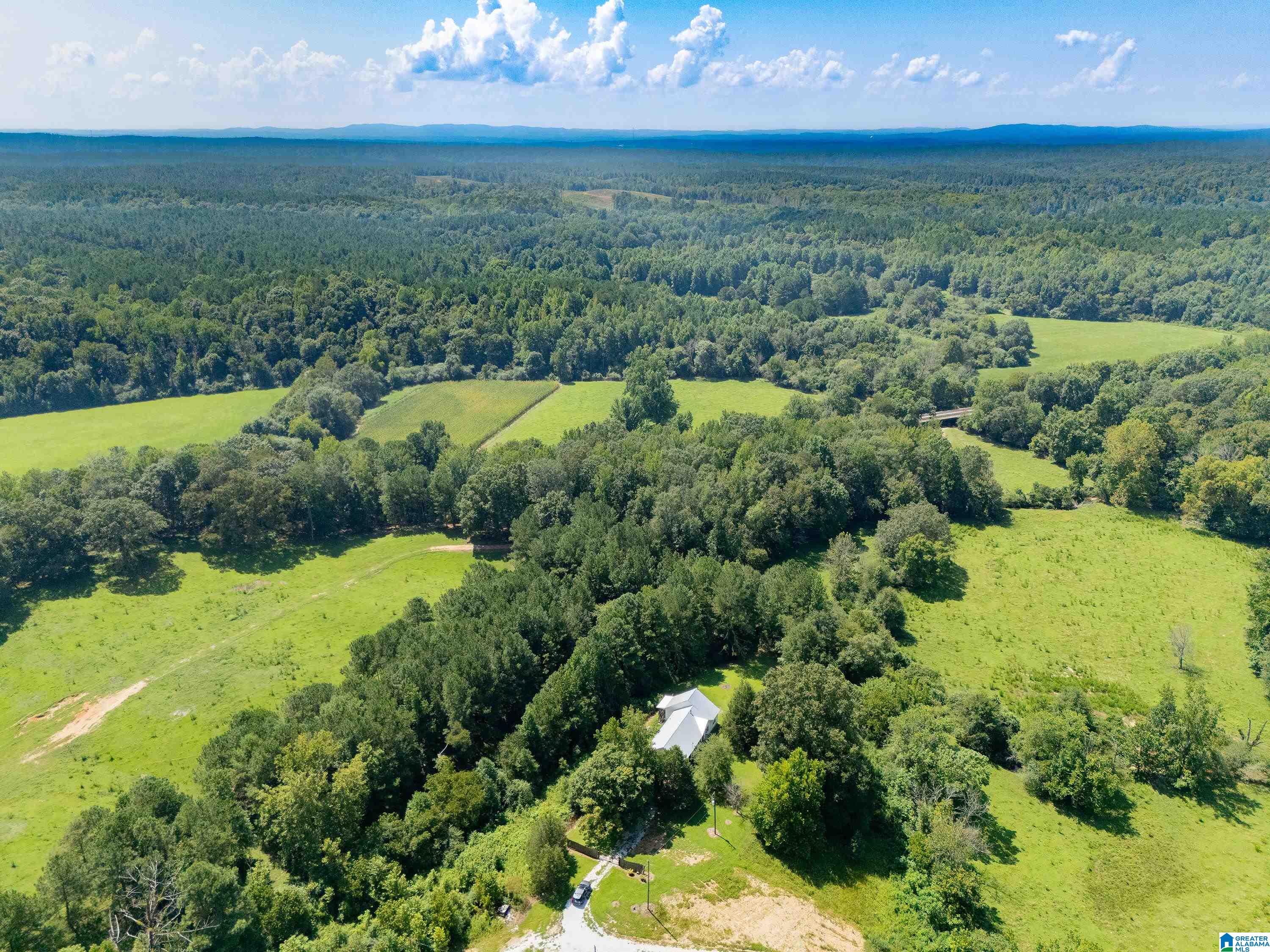 11386 Highway 78 Fruithurst, AL 36262 - Photo 17 of 21