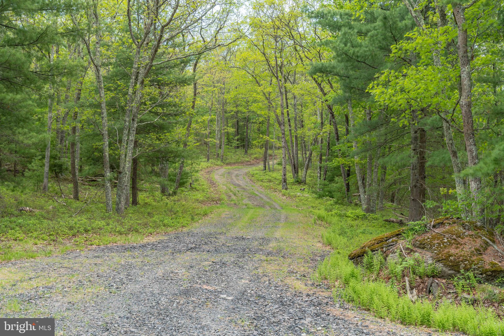 0 Cummins Hill Road Matamoras, PA 18336 - Photo 75 of 116