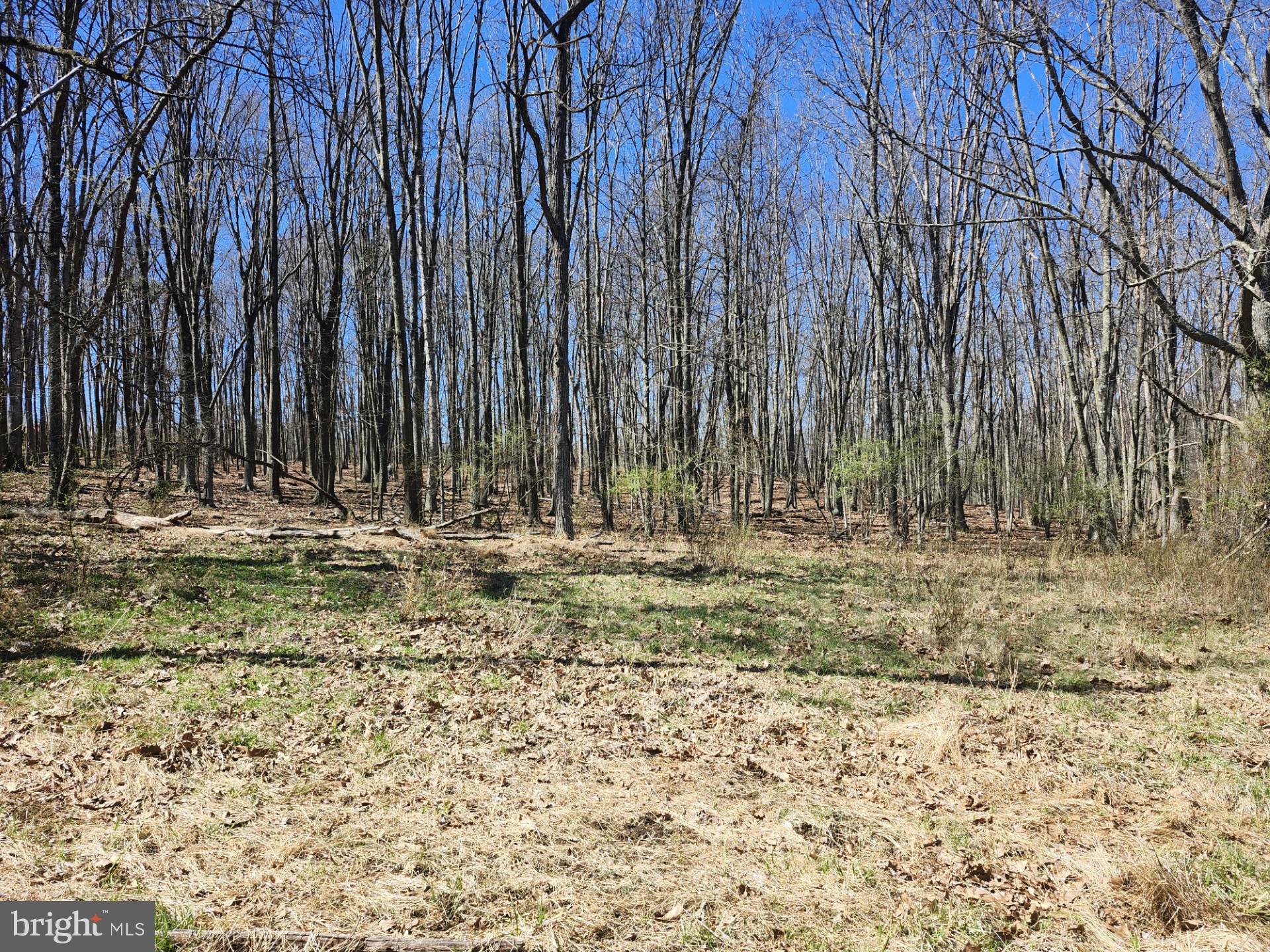 A J Kelley Road Old Fields, WV 26845 - Photo 33 of 65