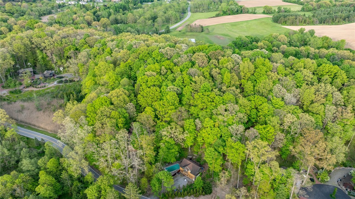 7733 Lower Fishers Road Victor, NY 14564 - Photo 47 of 50