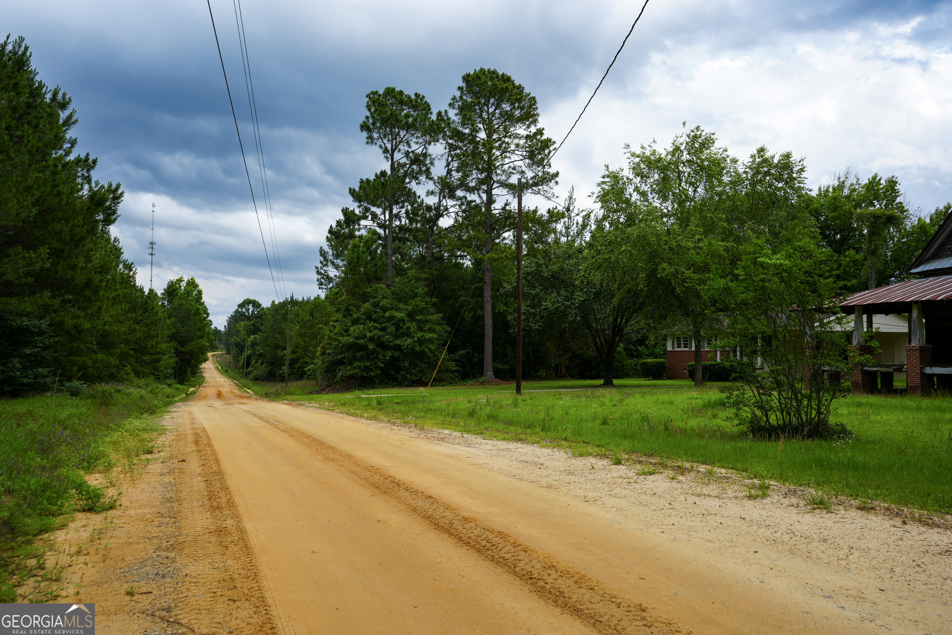 1869 Minter Blue Springs Road Rockledge, GA 30454 - Photo 42 of 45 a view of a yard with palm trees