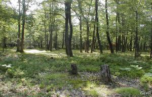 Lot #12 Behrens Road, Unit 12 Jim Thorpe, PA 18229 - Photo 1 of 2 Listing Photo