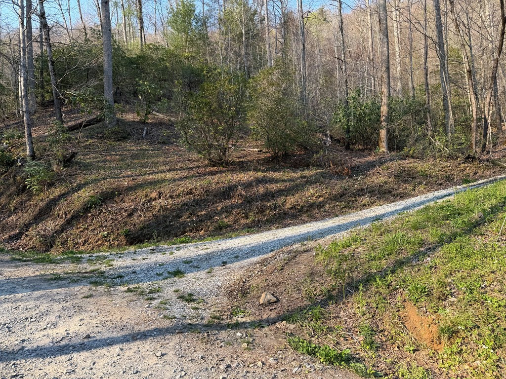 Lot 5 Huffman Creek Road Robbinsville, NC 28771 - Photo 13 of 13