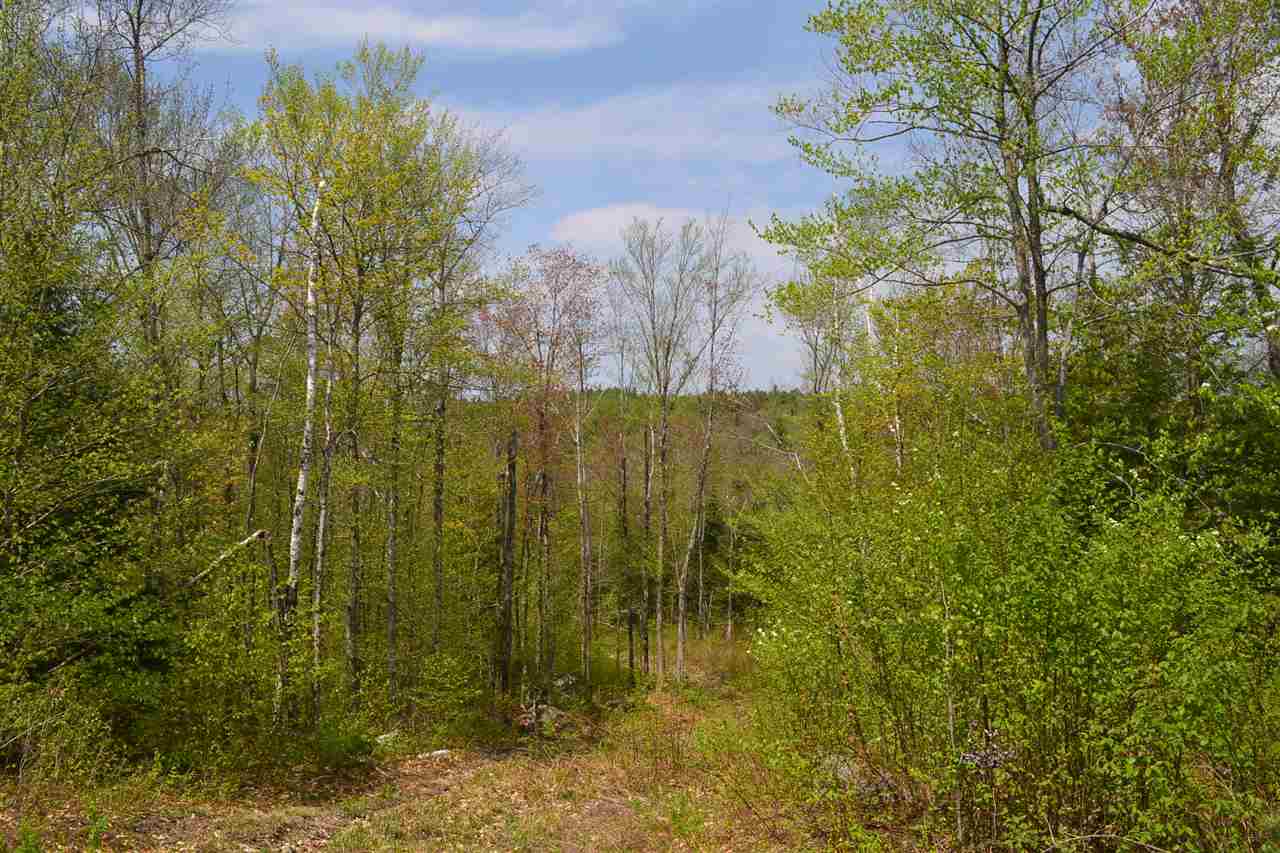 218 Windsor Road Hillsborough, NH 03244 - Photo 11 of 26