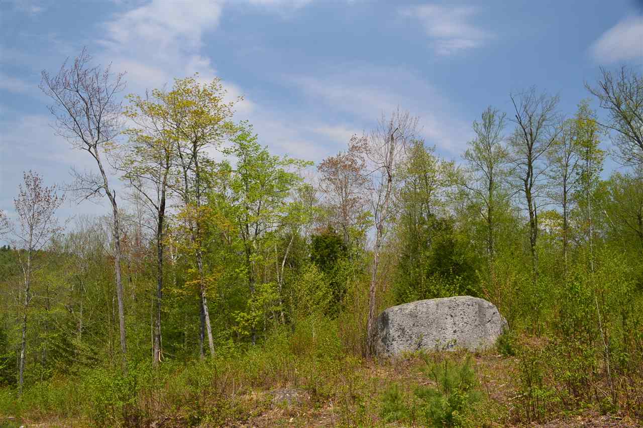 218 Windsor Road Hillsborough, NH 03244 - Photo 12 of 26