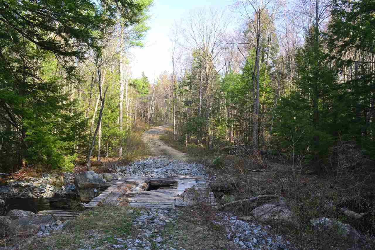 218 Windsor Road Hillsborough, NH 03244 - Photo 4 of 26