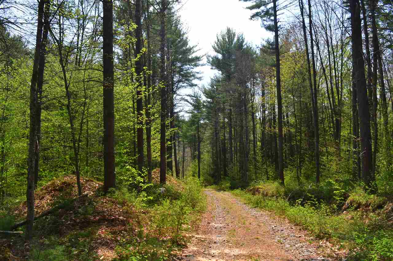 218 Windsor Road Hillsborough, NH 03244 - Photo 5 of 26