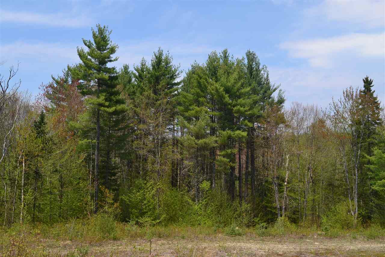 218 Windsor Road Hillsborough, NH 03244 - Photo 9 of 26