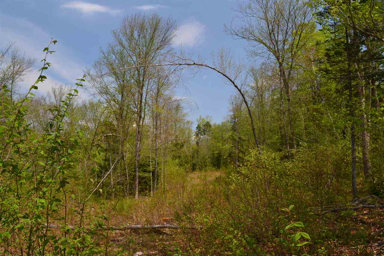 218 Windsor Road Hillsborough, NH 03244 - Photo 10 of 26