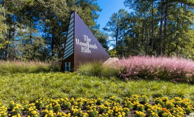 $2,800 | 119 Buttonwood Court, Conroe, TX 77318