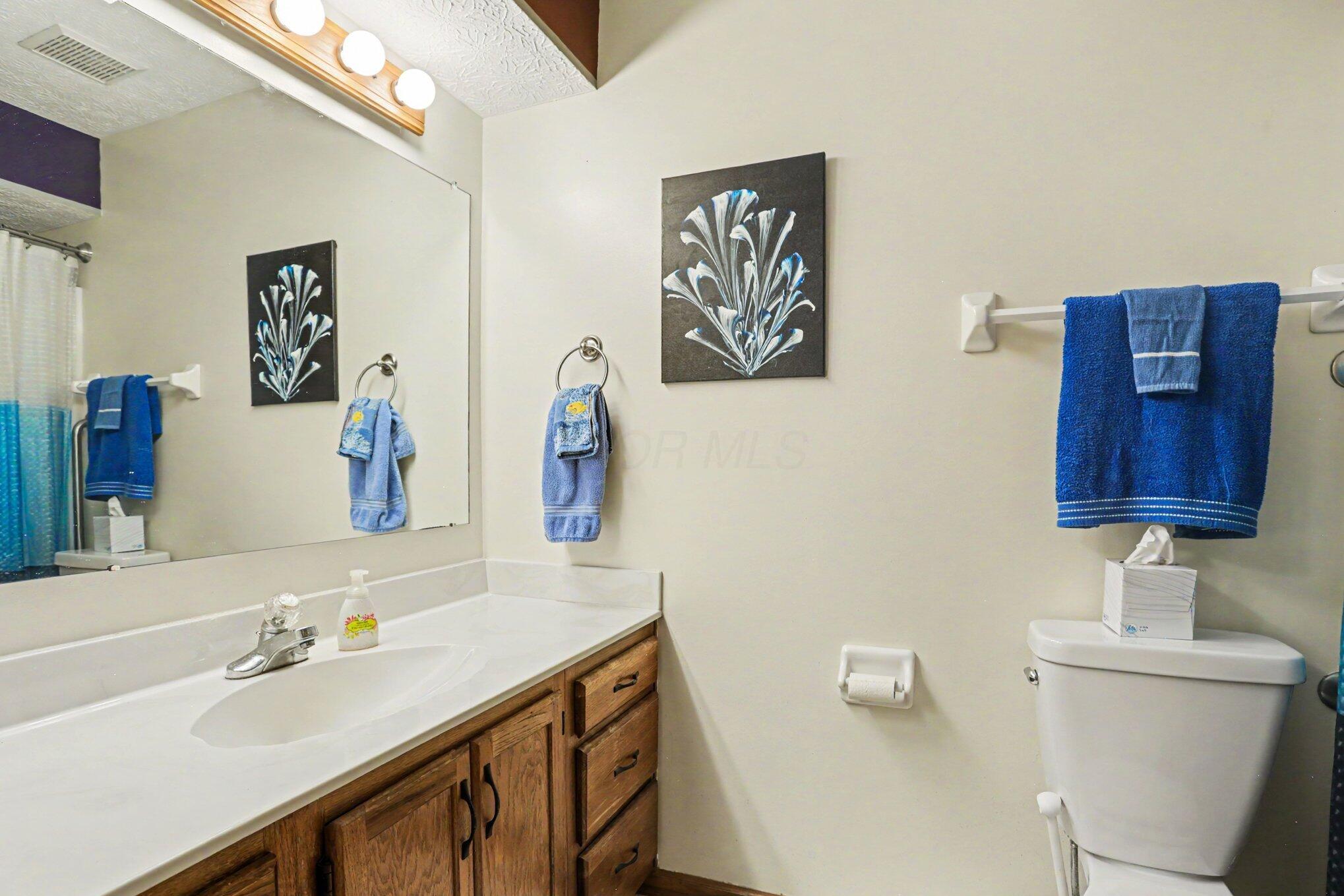 530 Long Road Pickerington, OH 43147 - Photo 20 of 46 Guest Bath