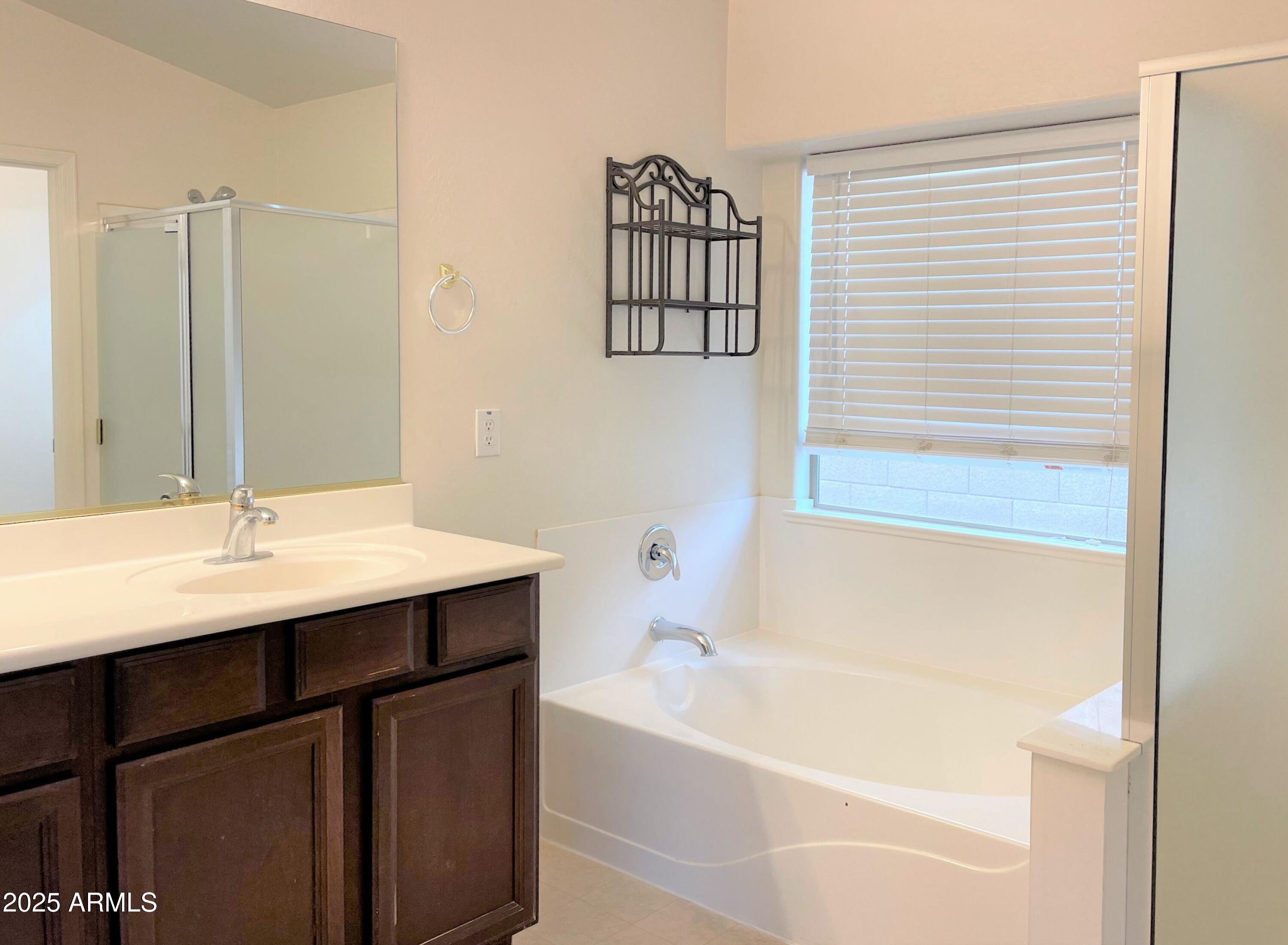 3984 East Tanzanite Lane San Tan Valley, AZ 85143 - Photo 8 of 20 a bathroom with a sink and a bathtub