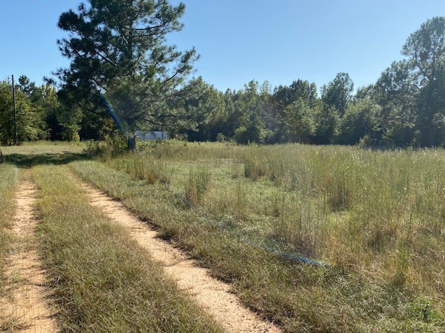 997 West 4 Points Road Keysville, GA 30816 - Photo 3 of 10