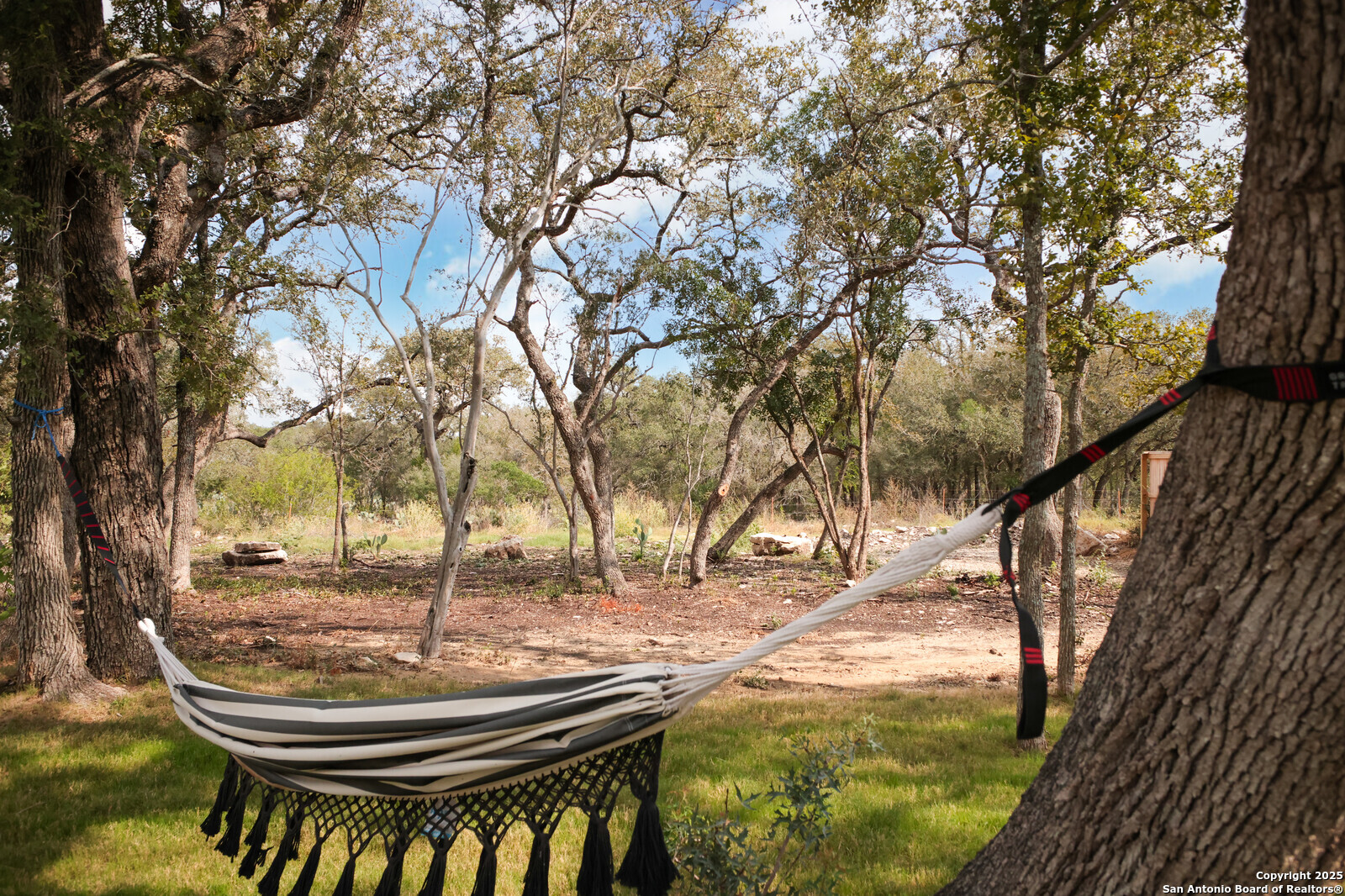 431 Falcon Cove Castroville, TX 78009 - Photo 34 of 46 a swimming pool with some trees and plants