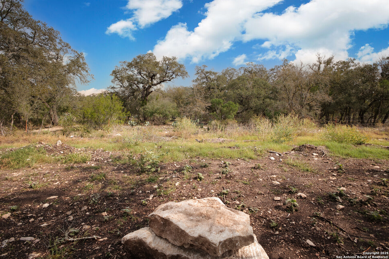 431 Falcon Cove Castroville, TX 78009 - Photo 36 of 46 a view of dirt field with trees