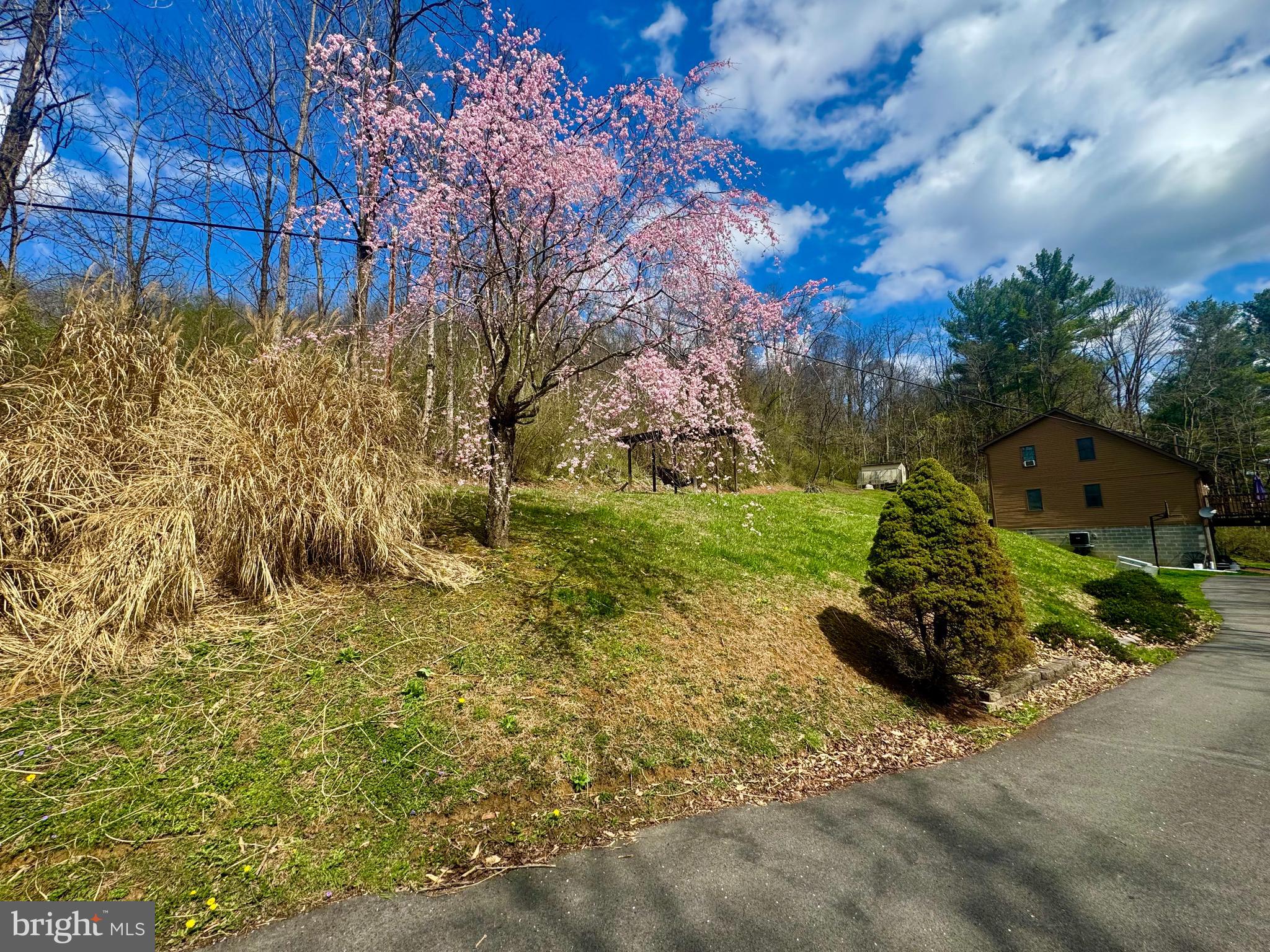 672 Buffalo Brink Road Mannington, WV 26582 - Photo 27 of 36