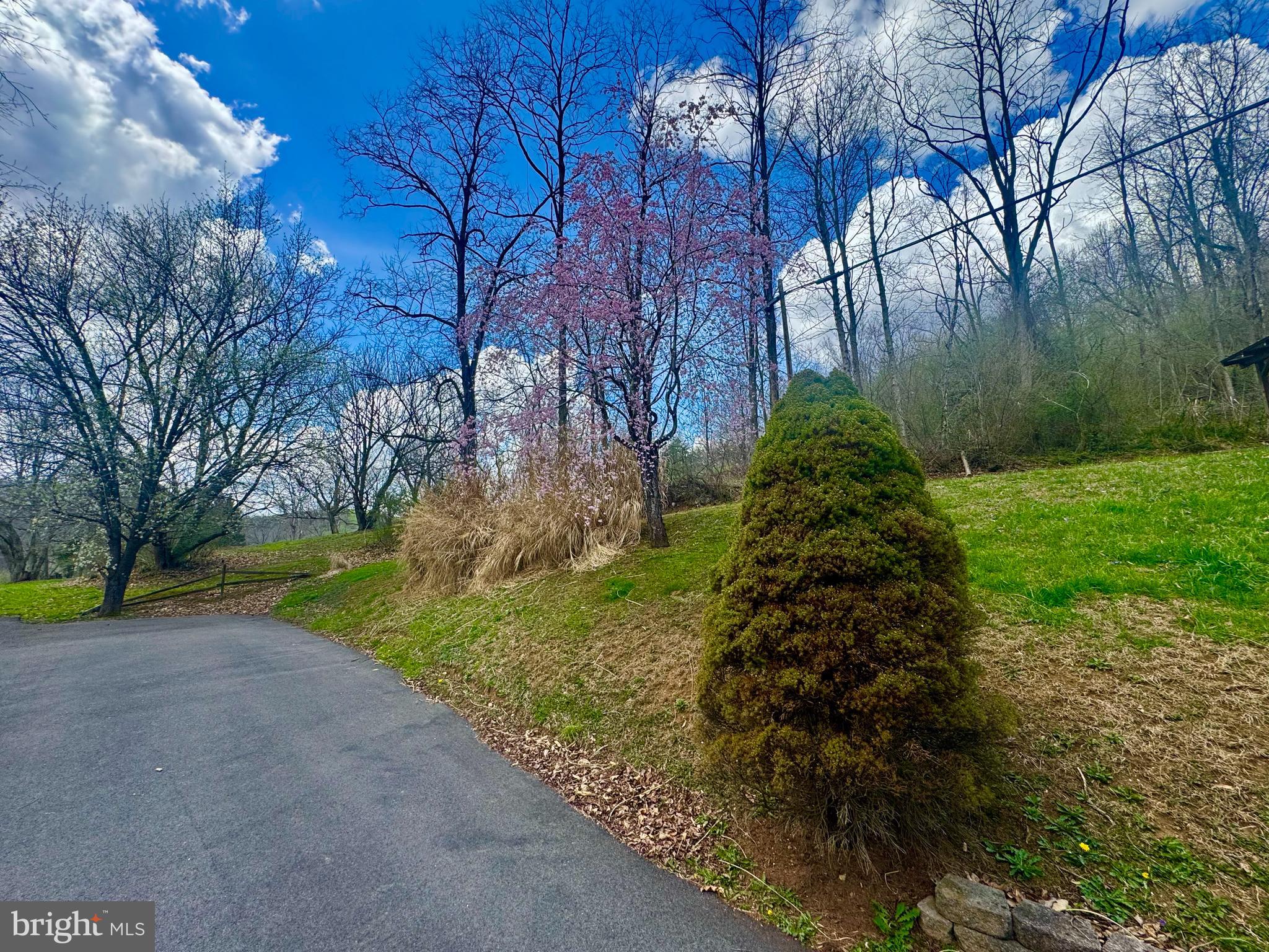 672 Buffalo Brink Road Mannington, WV 26582 - Photo 31 of 36