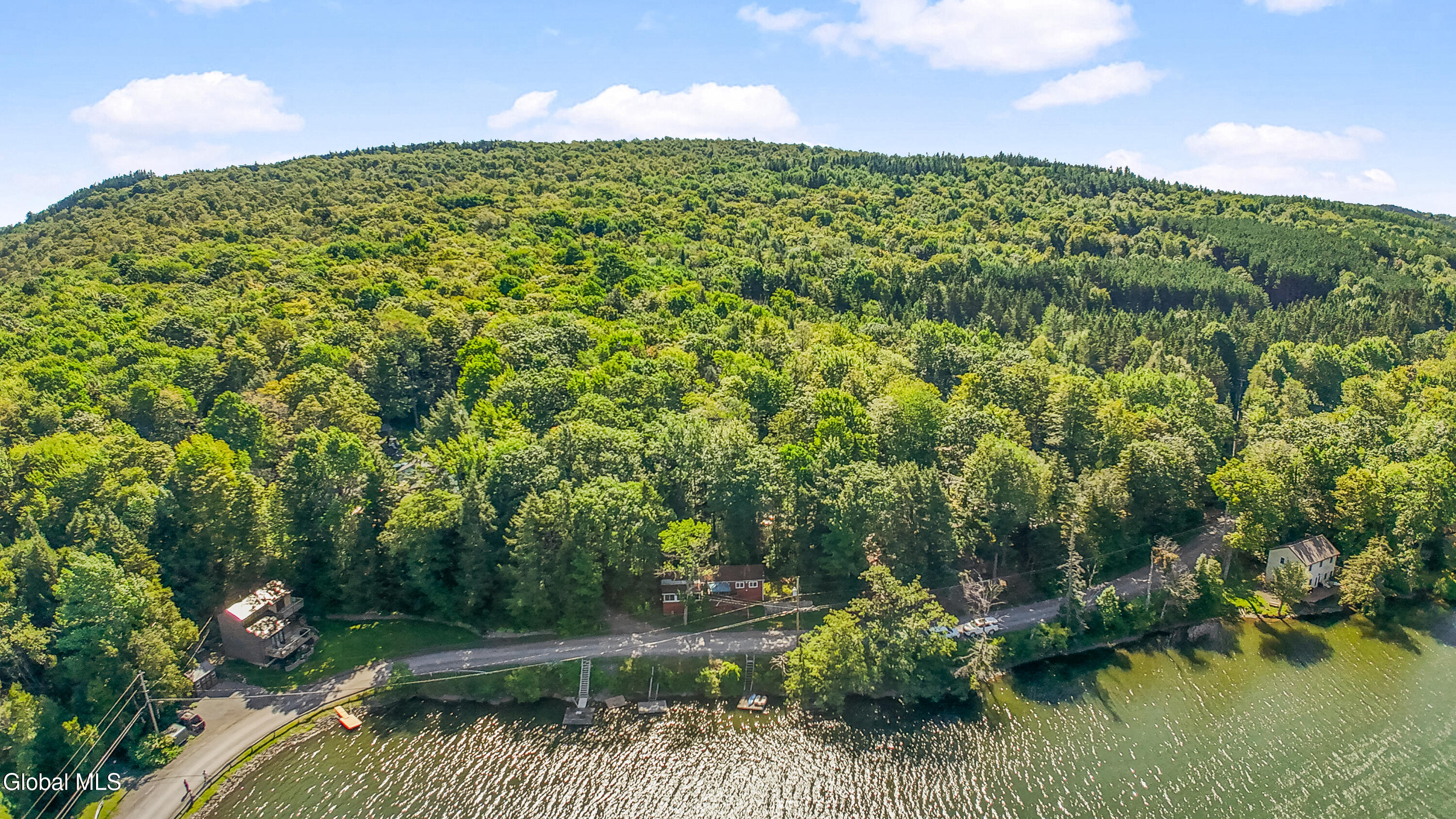 342 Bear Gulch Road Summit, NY 12175 - Photo 3 of 36 342 Bear Gulch Rd Drone-3