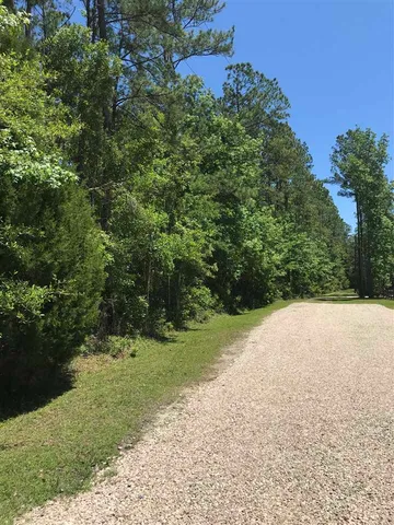 $38,000 | Xx Xx Big Fish Drive, Sopchoppy, FL 32358