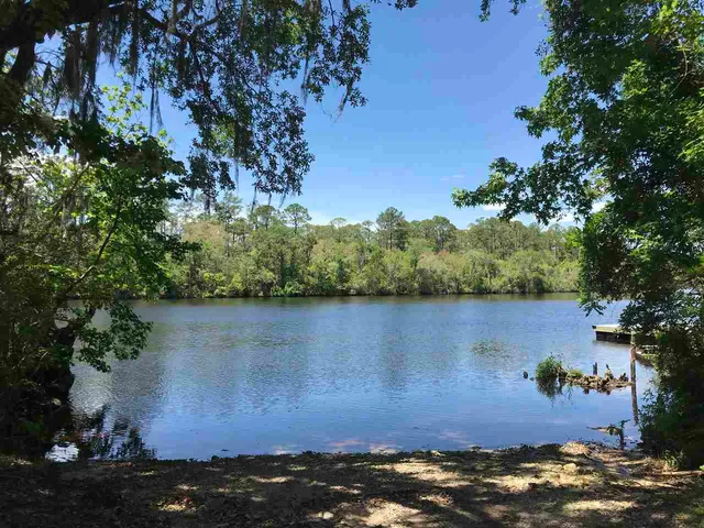 $38,000 | Xx Xx Big Fish Drive, Sopchoppy, FL 32358