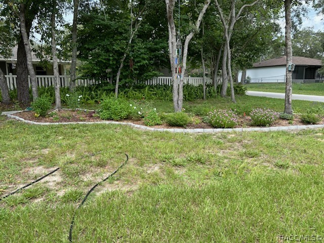 2980 East Hester Street Inverness, FL 34453 - Photo 22 of 36 West side yard