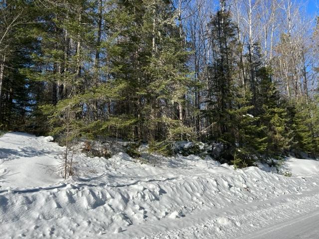 On White Birch Road, Unit LOT 10 Eagle River, WI 54521 - Photo 7 of 9 Gallery Image 7