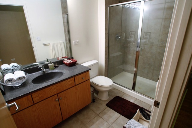 630 North Franklin Street, Unit 421 Chicago, IL 60654 - Photo 9 of 10