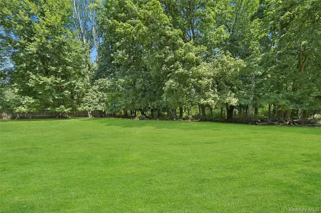 a view of a field of grass and trees