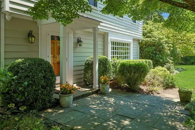 a view of a backyard with plants