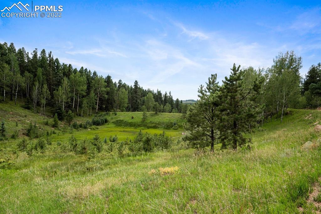 6900 Highway 24 Divide, CO 80814 - Photo 46 of 50 a view of a lush green space