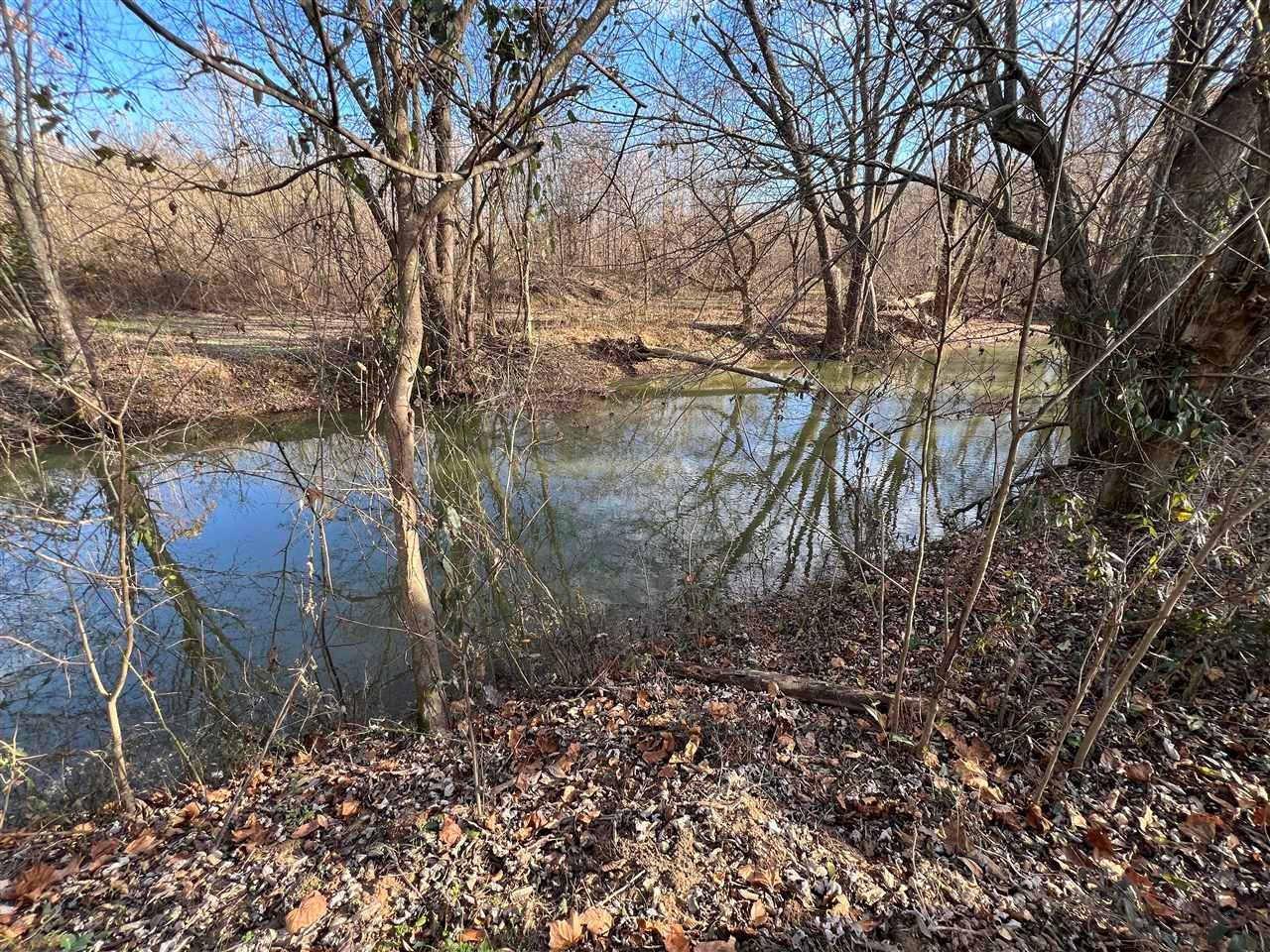 117.71-acres Cemetery Road Scottsville, KY 42164 - Photo 7 of 14 Gallery Image 7