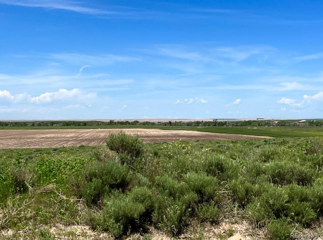 3 Mimosa Road Byers, CO 80103 - Photo 3 of 4