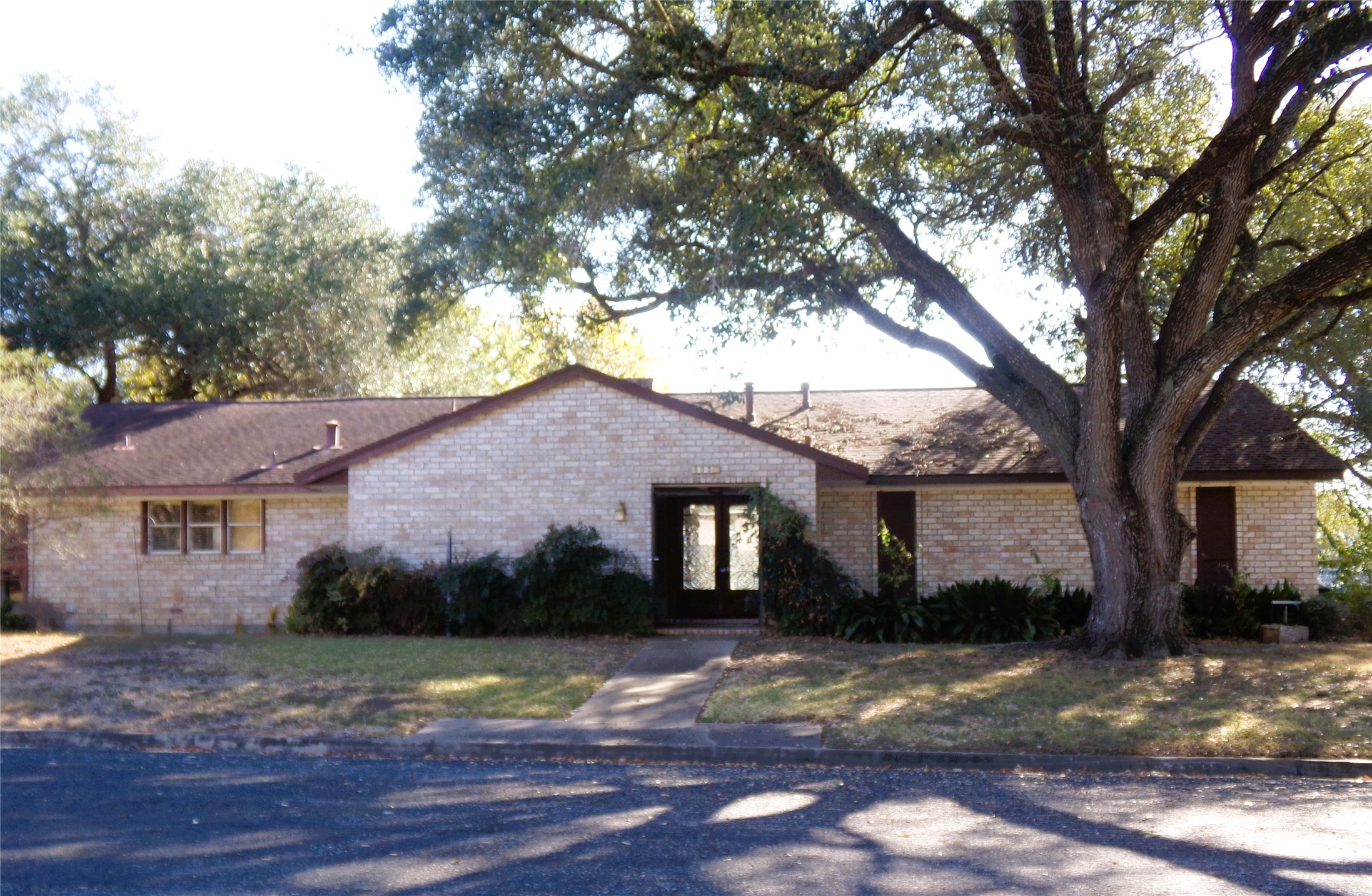 a view of a yard in front of a house with large tree