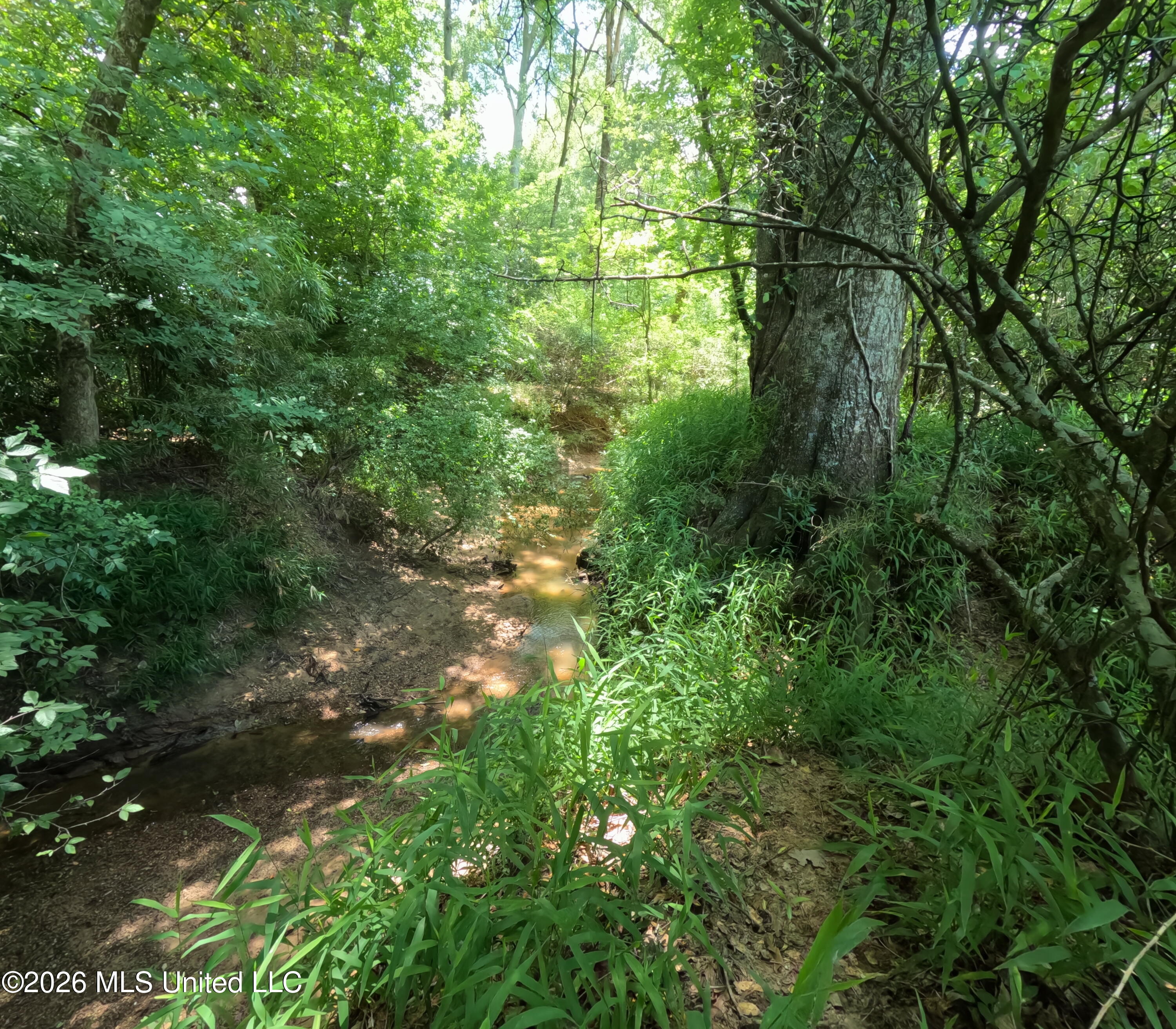 Old Port Edwards, MS 39066 - Photo 11 of 65 GOPR2273