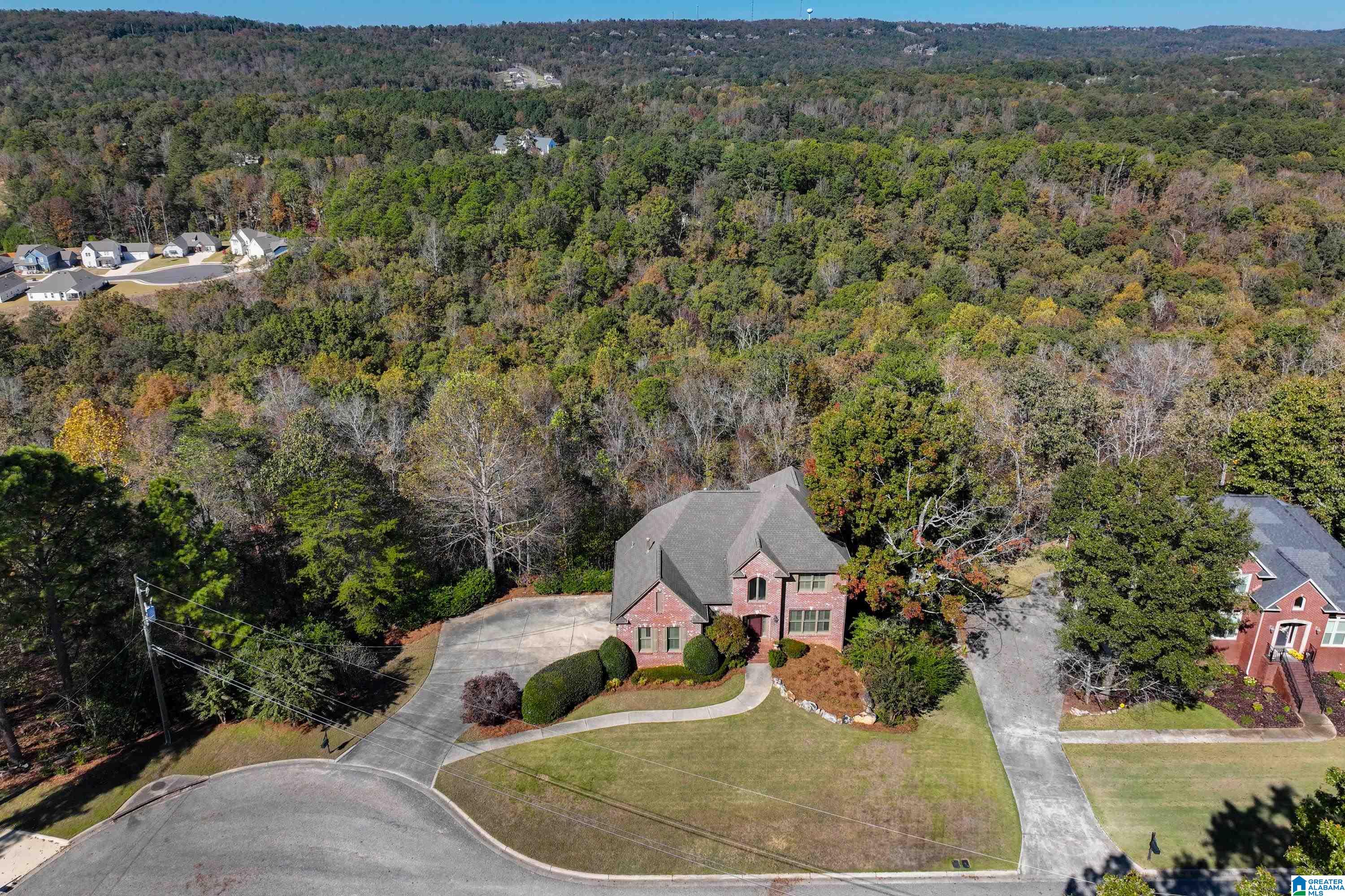456 Conroy Circle Sterrett, AL 35147 - Photo 63 of 81