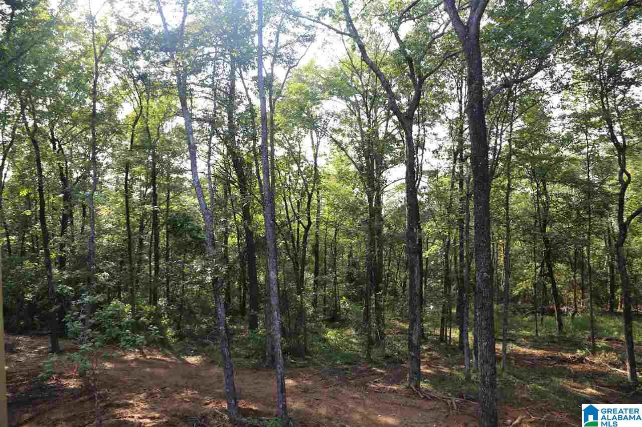 431 Palisades Park Road Oneonta, AL 35121 - Photo 15 of 20