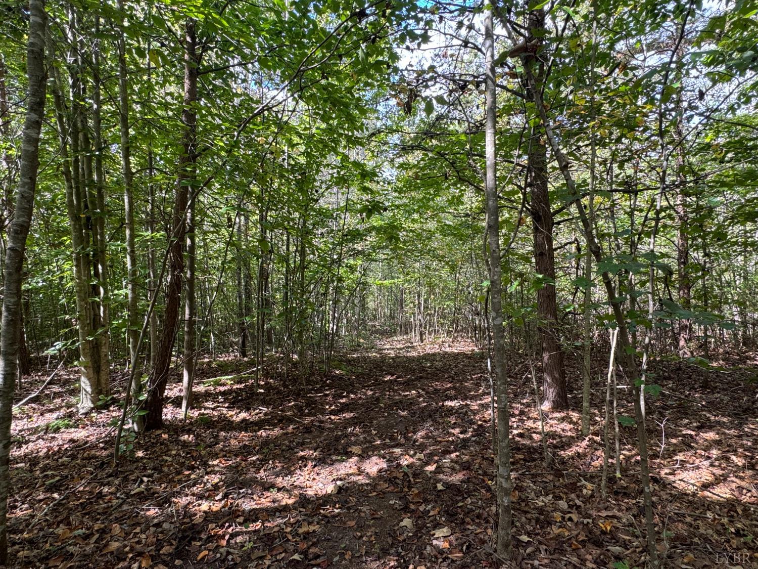 0 Mountain Ridge Lane Shipman, VA 22971 - Photo 4 of 10