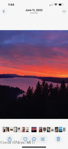 $1,495,000 | 2094 East Driftwood Heights Drive, Harrison, ID 83833