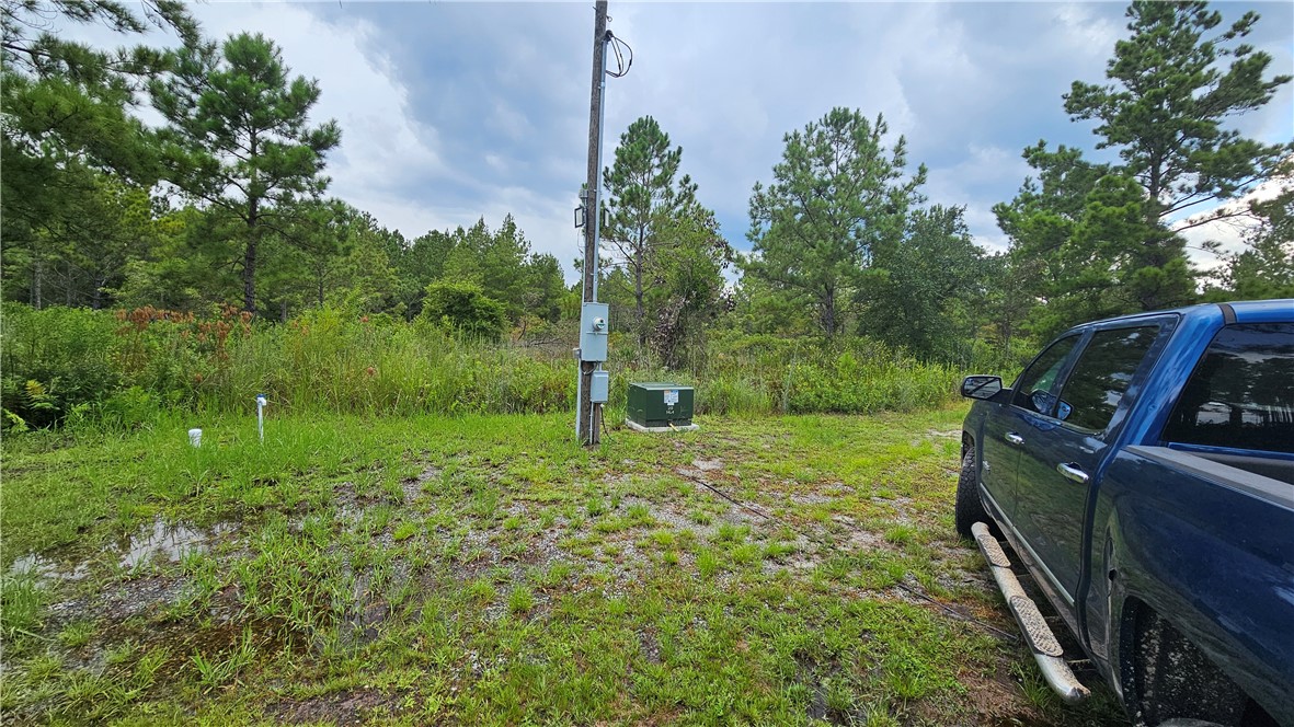 1705 Kings Bay Road Waverly, GA 31565 - Photo 4 of 8